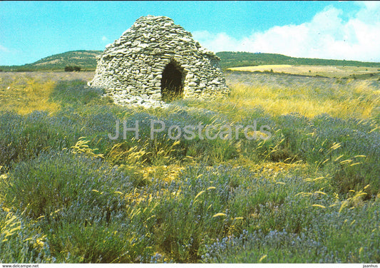 Boris dans les lavandes - Les Belles Images de Provence - 4155 - France - unused - JH Postcards