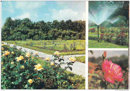 Rosarium - roses - Moscow Botanical Garden - 1988 - Russia USSR - unused - JH Postcards