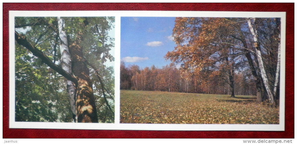 oak and birch trees - Museum-Estate of Leo Tolstoy - 1976 - Russia USSR - unused - JH Postcards