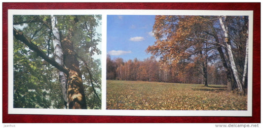 oak and birch trees - Museum-Estate of Leo Tolstoy - 1976 - Russia USSR - unused - JH Postcards