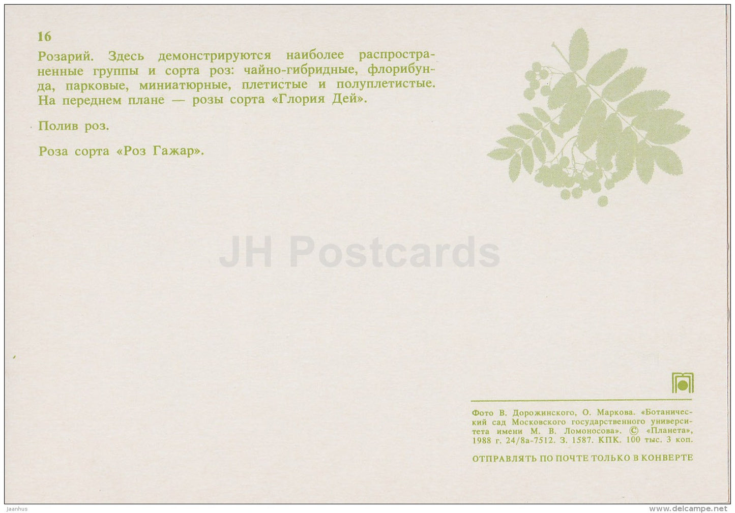 Rosarium - roses - Moscow Botanical Garden - 1988 - Russia USSR - unused - JH Postcards