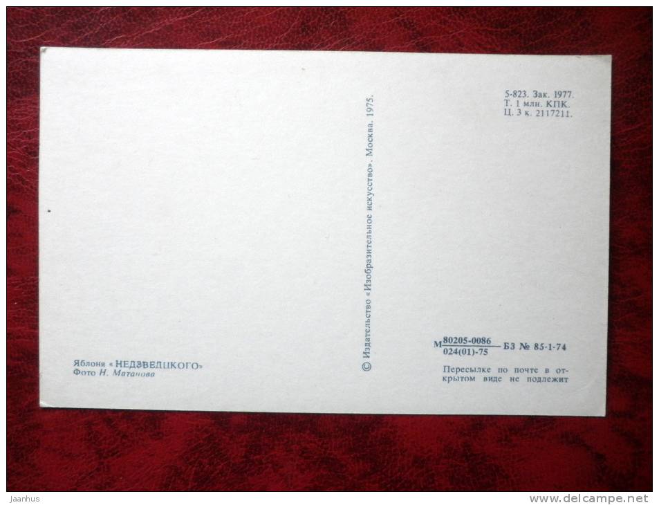 apple blossoms - plants - 1975 - Russia - USSR - unused - JH Postcards