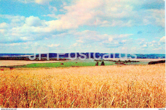 Tatarstan - the field is ripening - 1973 - Russia USSR - unused - JH Postcards
