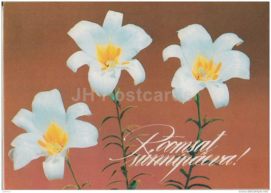 white lily - flowers - 1992 - Estonia - used - JH Postcards