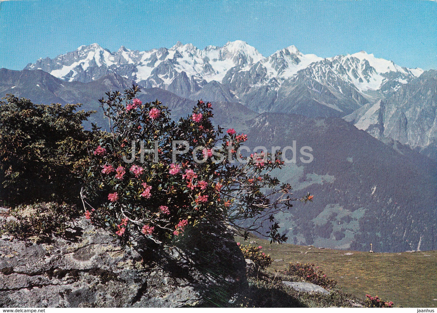 Verbier - Le Massif du Trient vu depuis les Ruinettes - 17041 - Switzerland - unused - JH Postcards