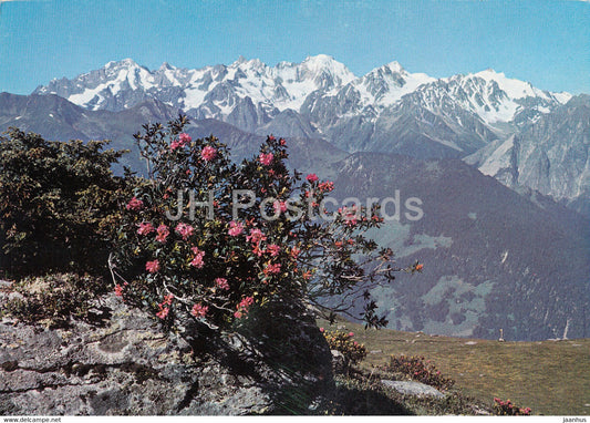 Verbier - Le Massif du Trient vu depuis les Ruinettes - 17041 - Switzerland - unused - JH Postcards