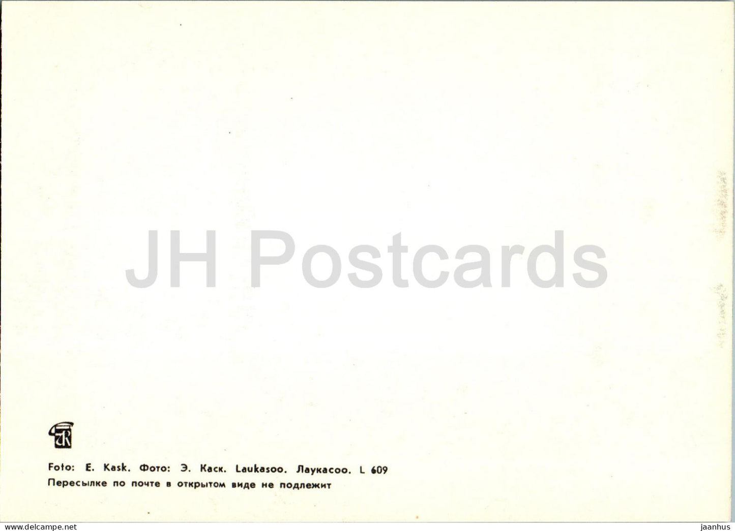 Lahemaa - Laukasoo - marais - 1 - 1978 - Estonie URSS - inutilisé 