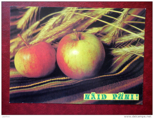 New Year greeting card - apples - 1990 - Estonia USSR - used - JH Postcards