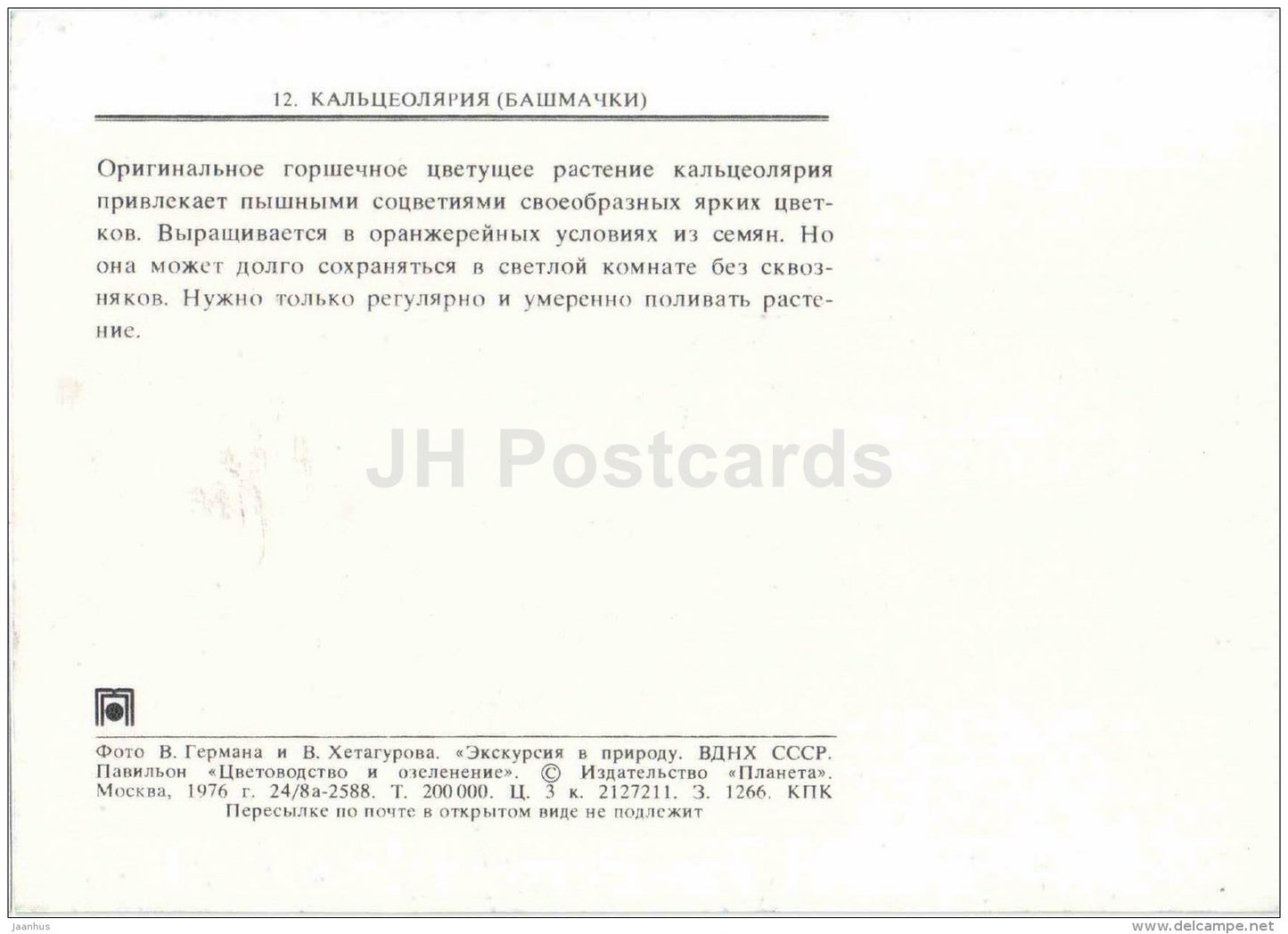 Lady´s Purse - Calceolaria - flowers - floriculture and gardening pavilion - 1976 - Russia USSR - unused - JH Postcards