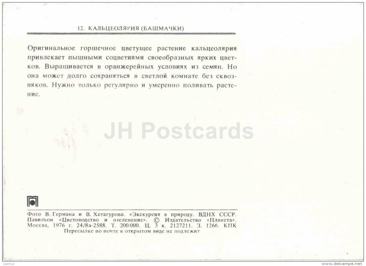 Lady´s Purse - Calceolaria - flowers - floriculture and gardening pavilion - 1976 - Russia USSR - unused - JH Postcards