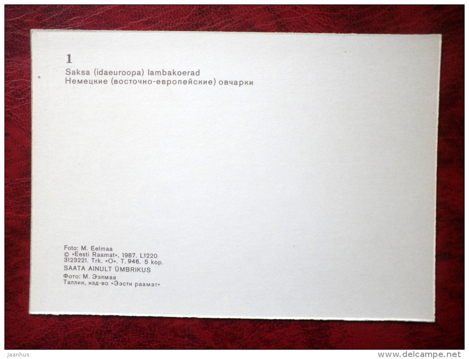 German Shepherd Dogs - dogs - 1987 - Estonia - USSR - unused - JH Postcards