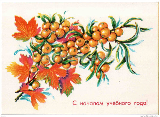illustration by A. Sokolova - Buckthorn - Beginning of the school year - 1982 - Russia USSR - unused - JH Postcards
