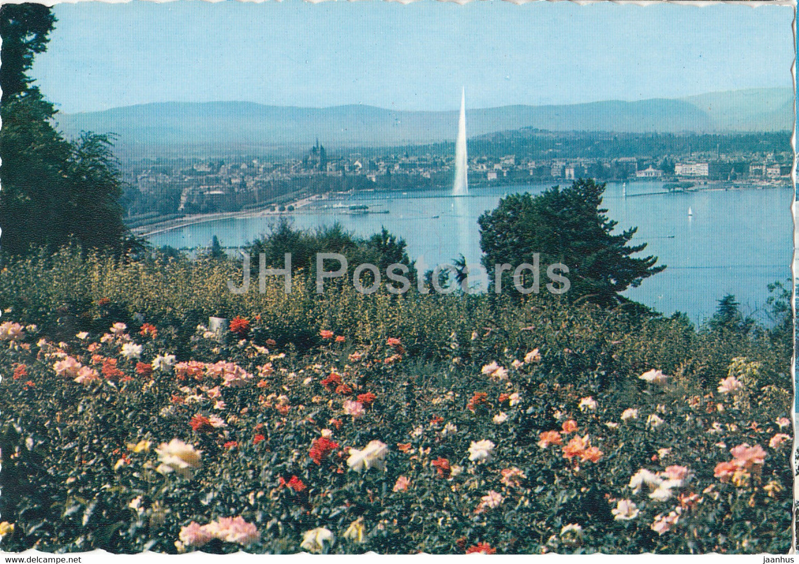 Geneva - Geneve - Le Lac - Le Jet d'Eau et la Ville depuis le coteau de Cologny - 515 - Switzerland - unused - JH Postcards
