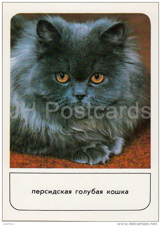 Persian Blue Cat - cats - Russia USSR - 1989 - unused - JH Postcards