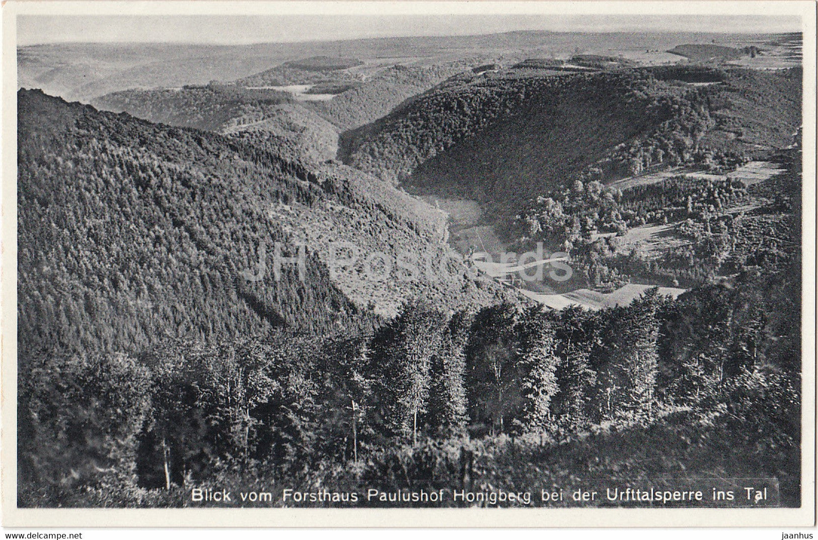 Blick vom Forsthaus Paulushof Honigberg bei der Urftalsperre ins Tal - Seehof - old postcard - Germany - unused - JH Postcards