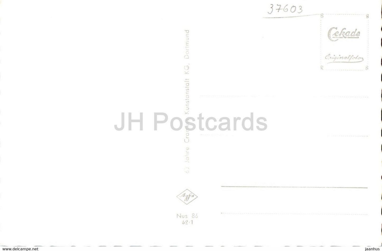 Hohenluftkurort Neuhaus im Solling - Schloss - Kirche - Luftbild - Dorfteich - old postcard - Germany - unused