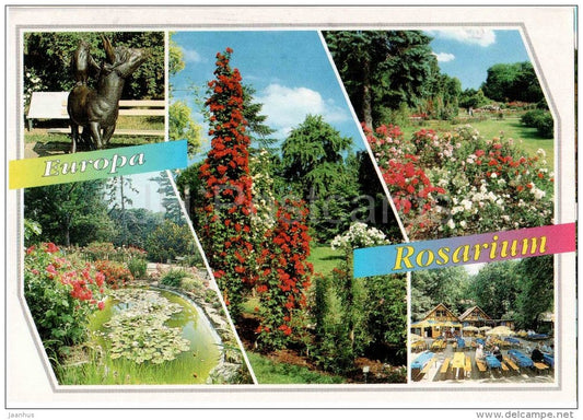 Europa Rosarium - Sangerhausen - roses - flowers - 06526 - Germany - 1996 gelaufen - JH Postcards