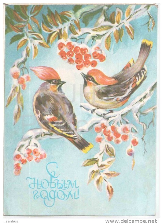 New Year Greeting card by L. Kuliyeva - birds - rowan berries - stationery - AVIA - 1979 - Russia USSR - used - JH Postcards
