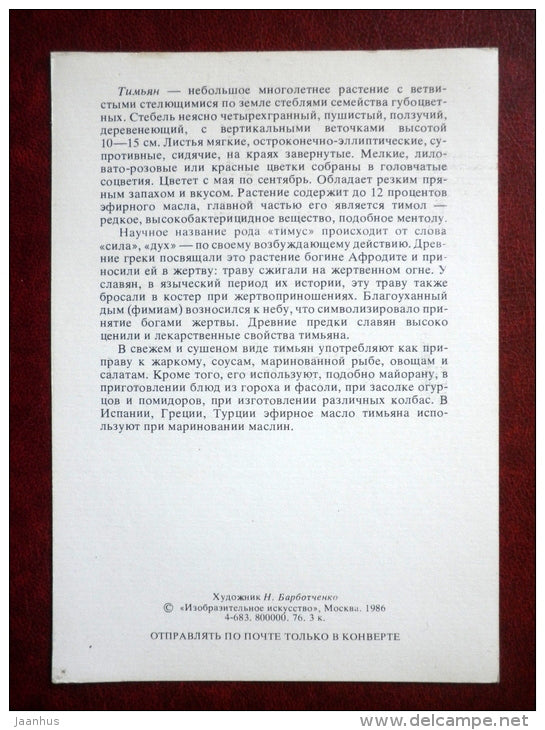 Thyme - Thymus vulgaris - by. N. Barbotchenko - plants - 1986 - Russia USSR - unused - JH Postcards