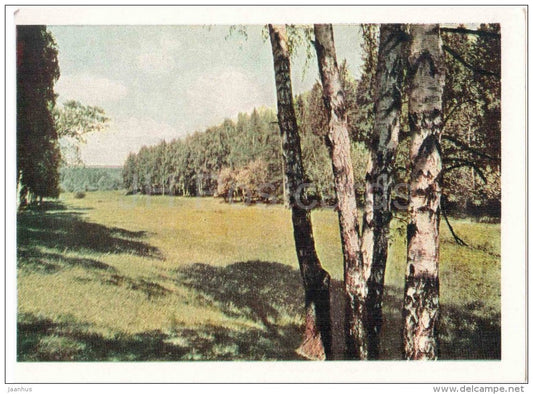 Landscape - birch trees - Home of Russian Writer Leo Tolstoy - Yasnaya Polyana - 1963 - Russia USSR - unused - JH Postcards