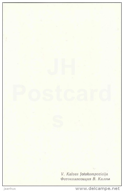 ikebana - flowers composition - 2 - 1981 - Latvia USSR - unused - JH Postcards