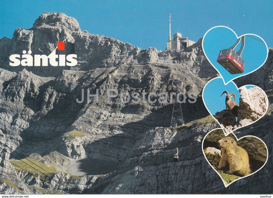 Santis 2502 m - Ostschweiz - cable car - 5846 - Switzerland - unused - JH Postcards