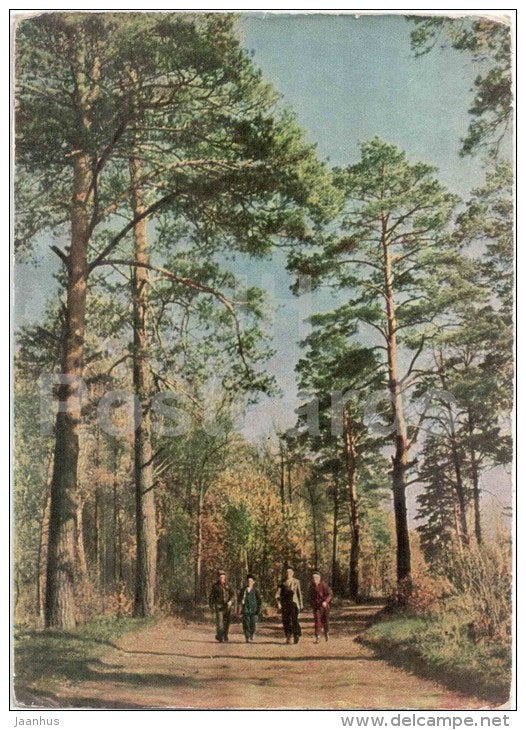 in the park of the sanatorium Maryino - Kursk - 1966 - Russia USSR - unused - JH Postcards