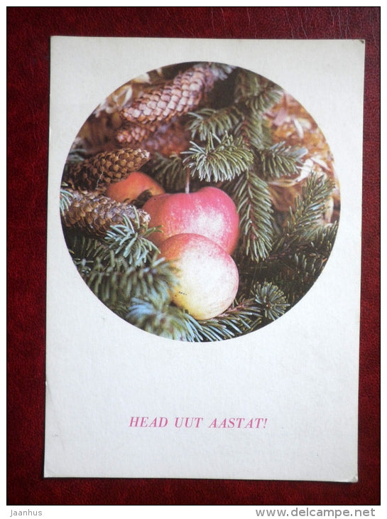 New Year Greeting card - apples - fir cones - 1985 - Estonia USSR - used - JH Postcards