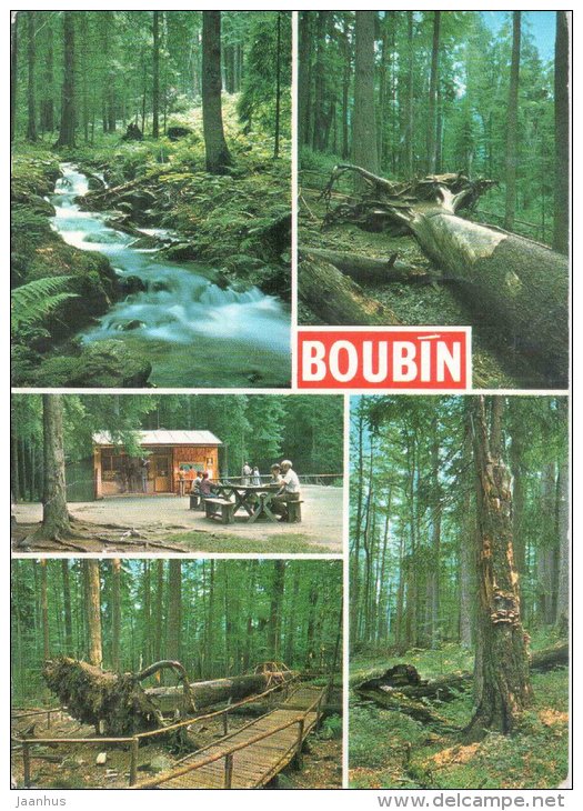 Boubin and Boubin Forest near Prachatice - Czechoslovakia - Czech - used 1984 - JH Postcards