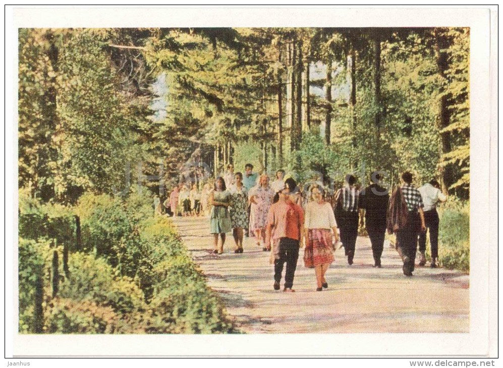 Preshpekt Alley - Home of Russian Writer Leo Tolstoy - Yasnaya Polyana - 1963 - Russia USSR - unused - JH Postcards