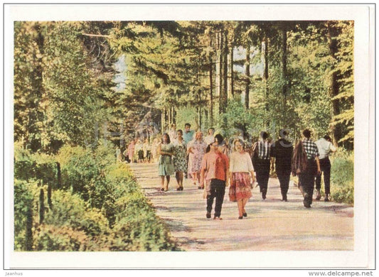 Preshpekt Alley - Home of Russian Writer Leo Tolstoy - Yasnaya Polyana - 1963 - Russia USSR - unused - JH Postcards