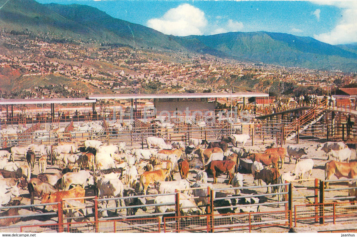 Medellin Colombia - Aspecto Parcial de la Feria de Ganado - Partial Aspect of the Cattle Fair - 1966 - Colombia - used - JH Postcards
