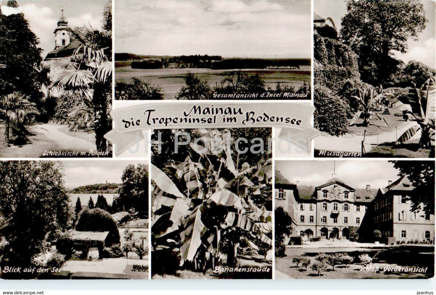 Mainau die Tropeninsel im Bodensee - Schlosskirche - Musagarten - Bananenstaude - old postcard - Germany - unused - JH Postcards
