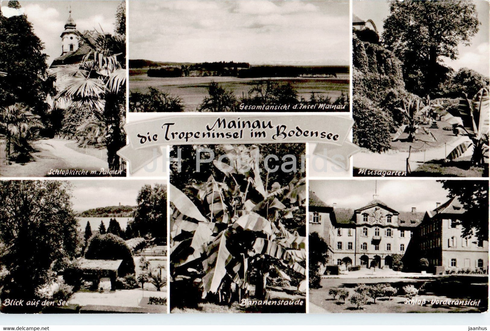 Mainau die Tropeninsel im Bodensee - Schlosskirche - Musagarten - Bananenstaude - old postcard - Germany - unused - JH Postcards