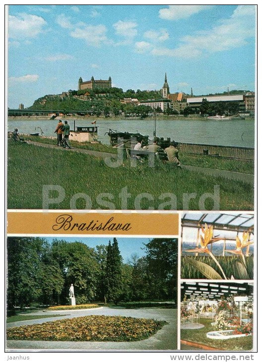Bratislava - Danube embankment - Janka Krala garden - Strelizia reginae - Czechoslovakia - Slovakia - unused - JH Postcards