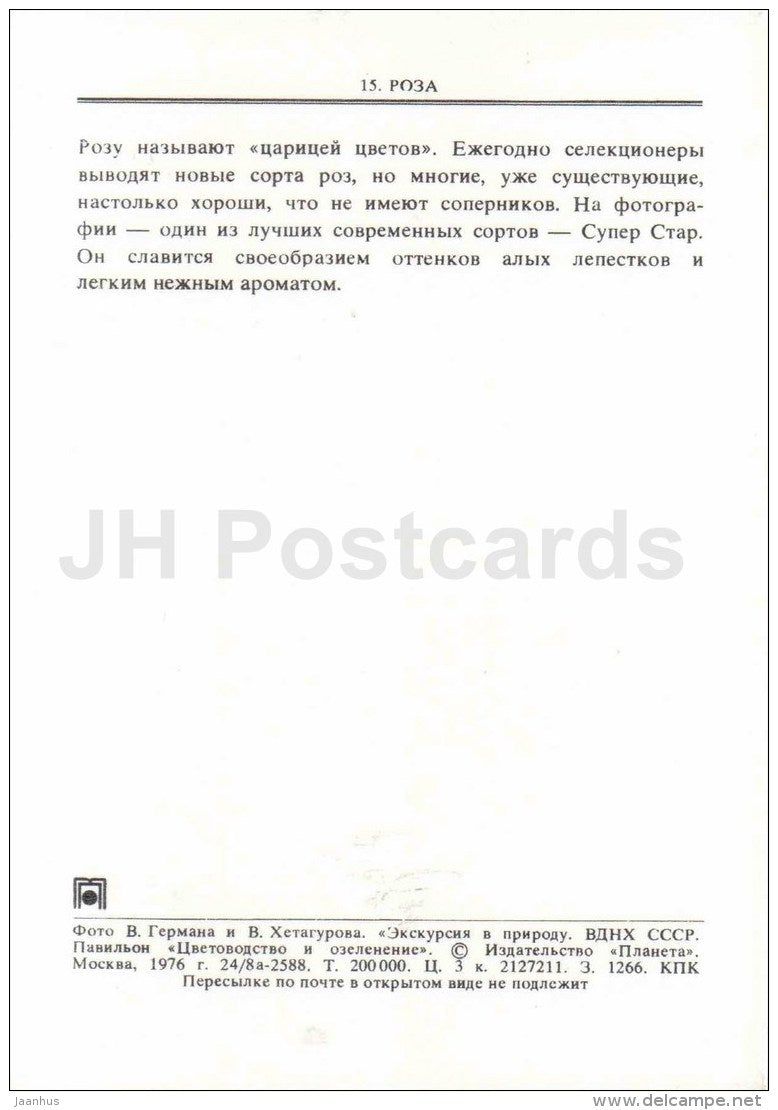Red Roses - flowers - floriculture and gardening pavilion - 1976 - Russia USSR - unused - JH Postcards