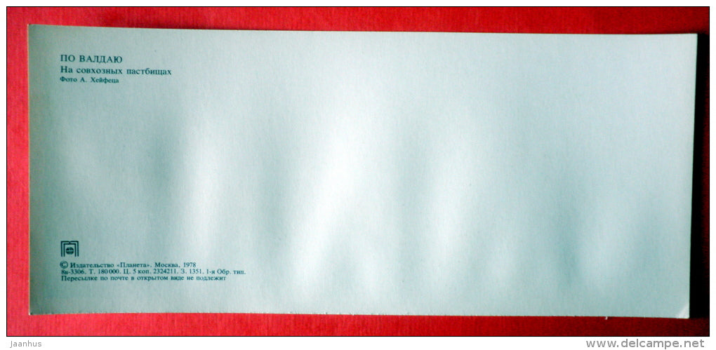 State Farm pastures - cow - Valday - 1978 - USSR Russia - unused - JH Postcards