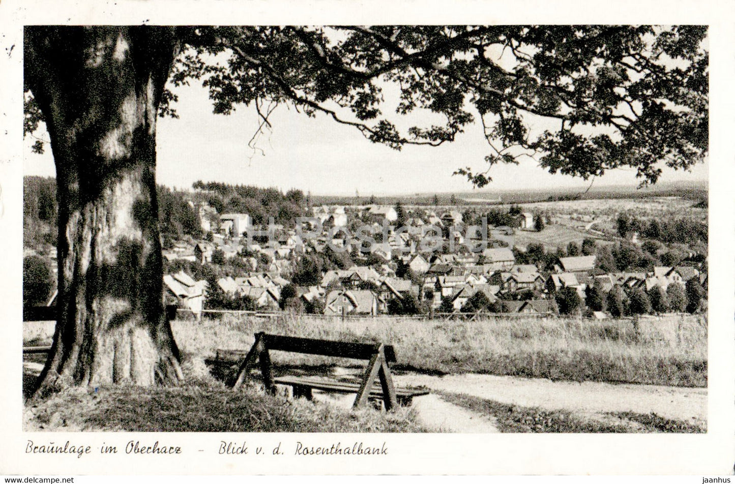 Braunlage im Oberharz - Blick v d Rosenthalbank - old postcard - 1956 - Germany - used - JH Postcards