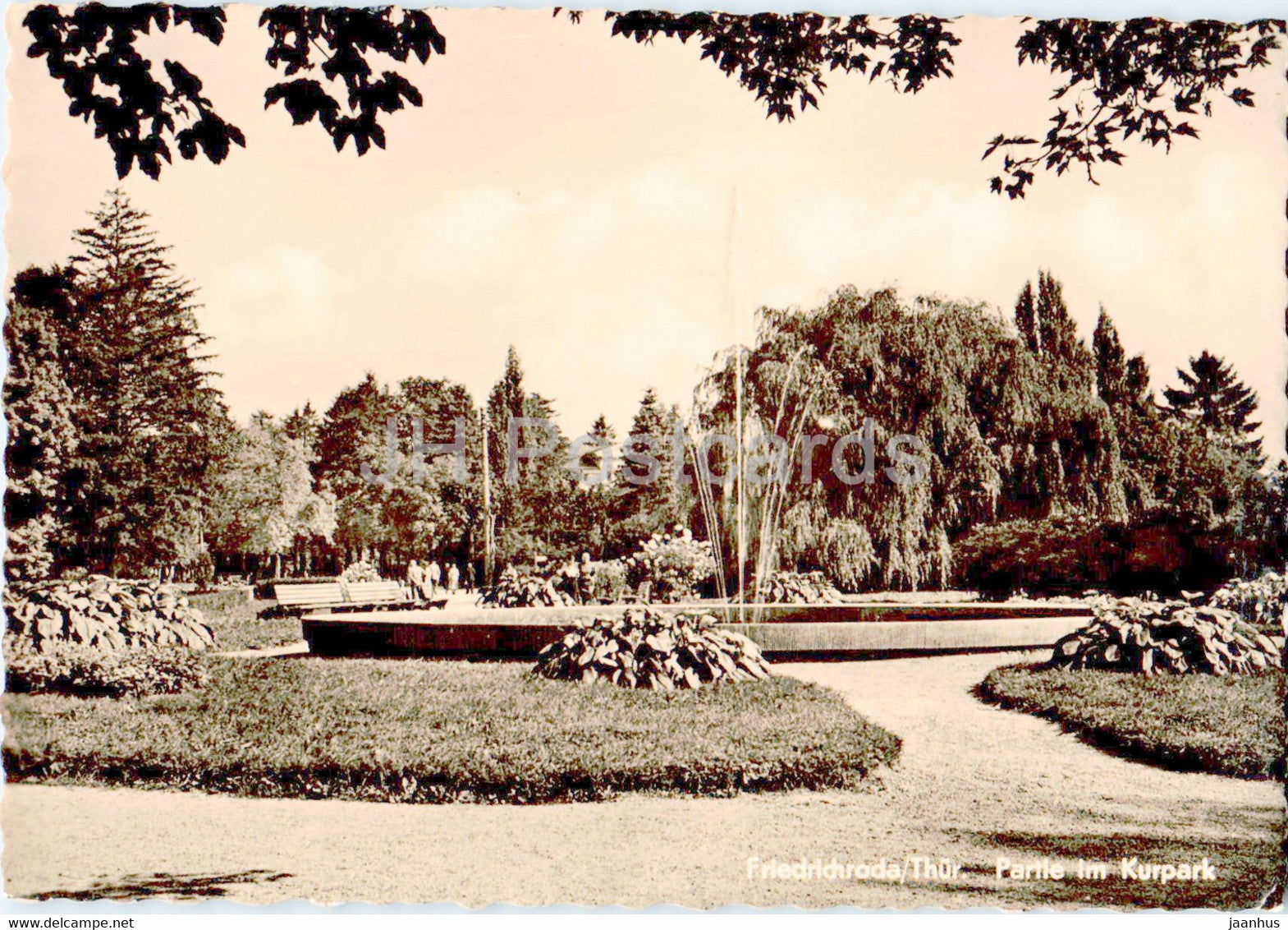 Friedrichroda - Partie im Kurpark - old postcard - Germany DDR - unused - JH Postcards