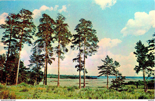 Tatarstan - Landscape - 1973 - Russia USSR - unused - JH Postcards