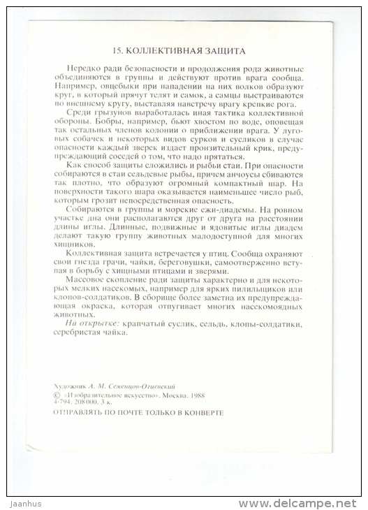 firebug - gull - anchovis - gopher - Collective defense - Animals defend themselves - 1988 - Russia USSR - unused - JH Postcards