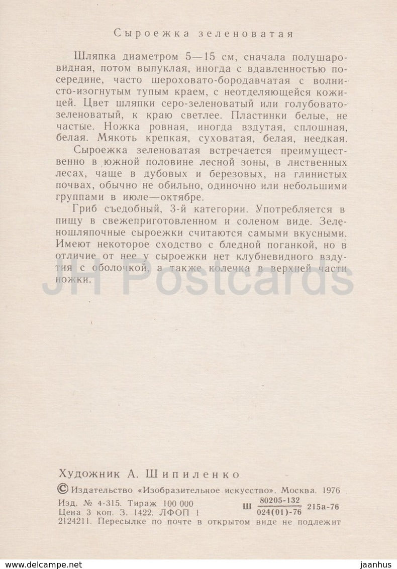 Green russula - Russula virescens - illustration by A. Shipilenko - Mushrooms - 1976 - Russia USSR - unused - JH Postcards