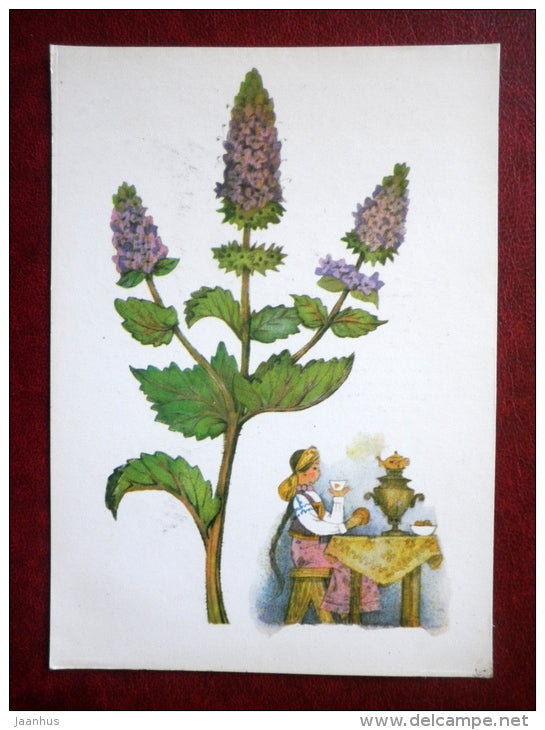 Peppermint - by. N. Barbotchenko - plants - girl drinking peppermint tea - samovar - 1986 - Russia USSR - unused - JH Postcards