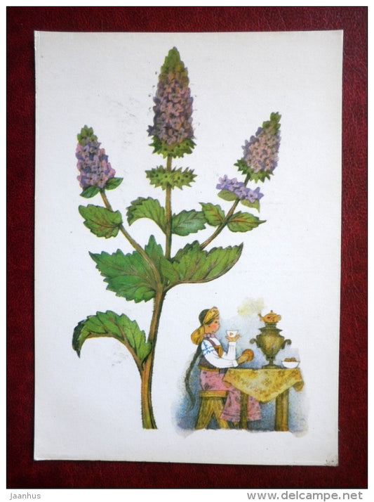 Peppermint - by. N. Barbotchenko - plants - girl drinking peppermint tea - samovar - 1986 - Russia USSR - unused - JH Postcards