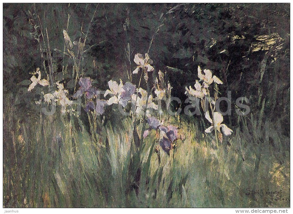 painting by Antonin Slavicek - Iris Flowers  , 1893 - Czech art - 1967 - Russia USSR - unused - JH Postcards