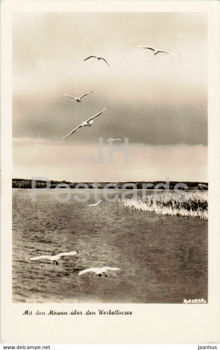 Mit den Mowen uber den Werbellinsee - 1956 - Germany DDR - used - JH Postcards