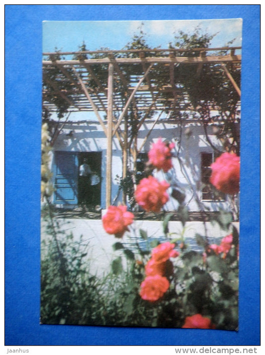 The Khamza Khakim-zadeh Niyazi house-museum - flowers - Kokand - 1969 - Uzbekistan USSR - unused - JH Postcards