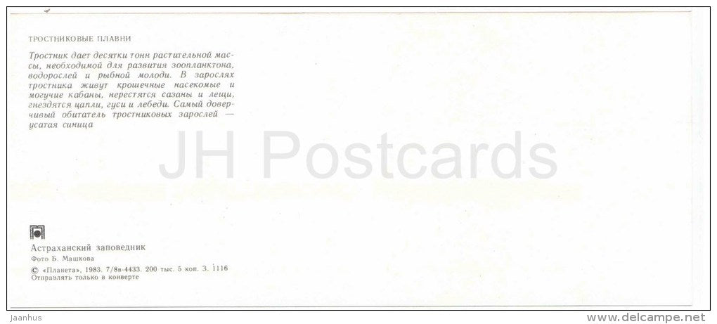 Bearded Reedling , Panurus biarmicus - birds - Astrakhan Nature Reserv - 1983 - Russia USSR - unused - JH Postcards