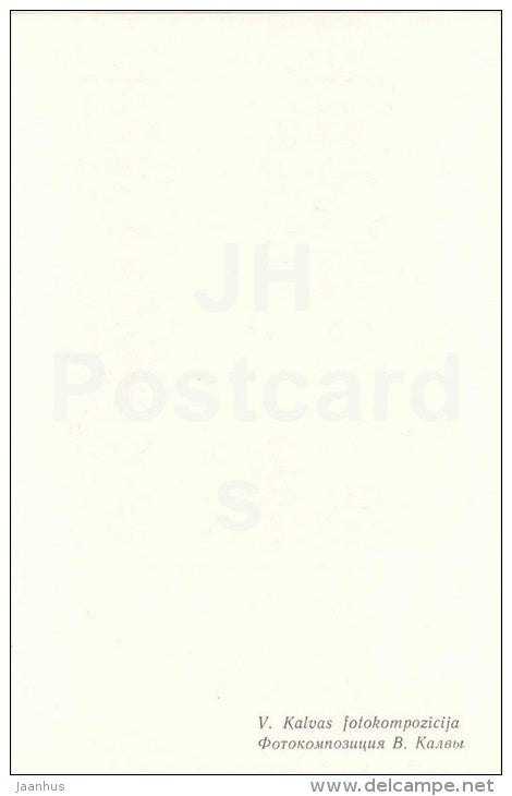 ikebana - flowers composition - 3 - 1981 - Latvia USSR - unused - JH Postcards