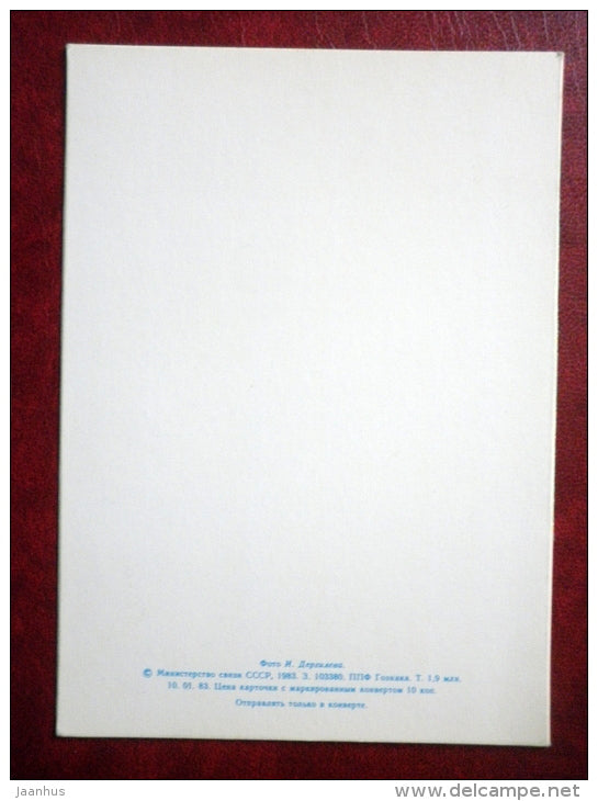 New Year Greeting card - decorations - by Dergilyeva - 1983 - Russia USSR - unused - JH Postcards